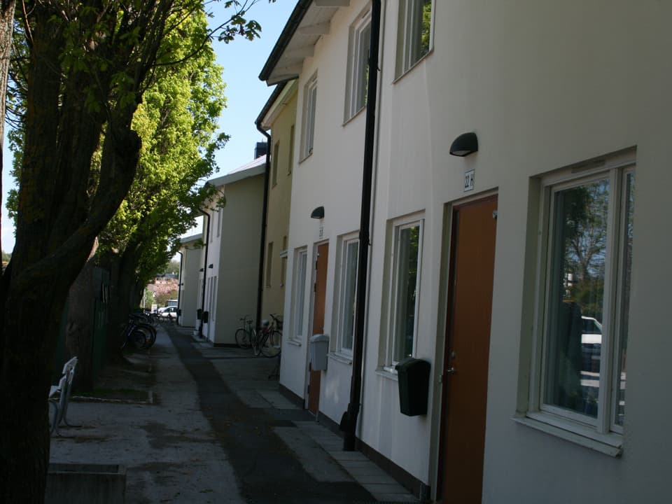 Vita radhus med trädörrar. Mittemot är det träd och mellan går en smal asfalterad väg.