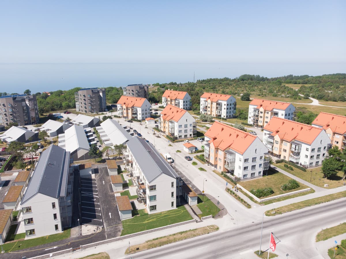 Vi avbryter bekämpningen av störande fåglar 