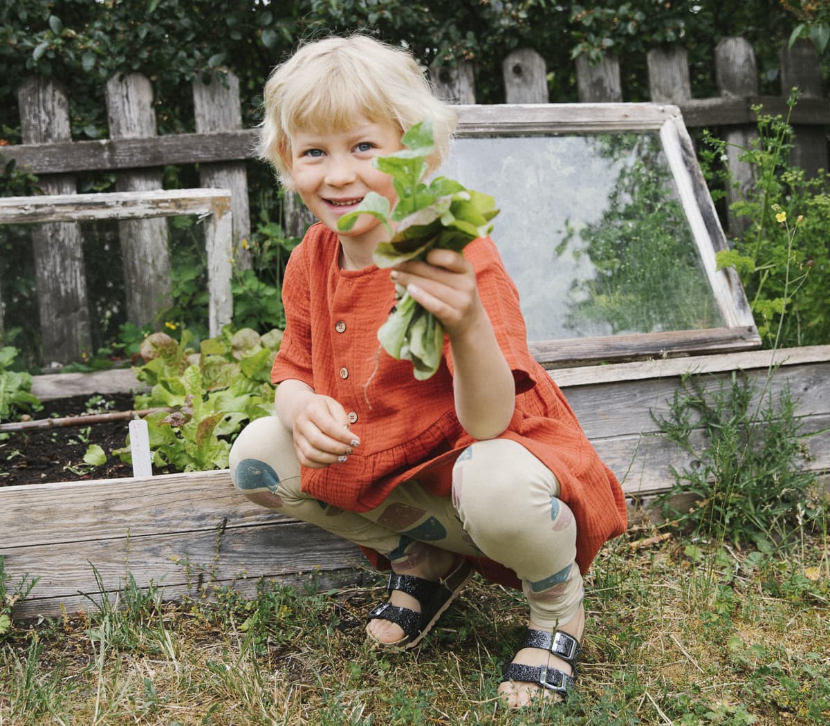 Ett barn i röd klänning sitter framför en pallkrage med odling av sallad. Barnet håller sallat i handen och tittar in i kameran.